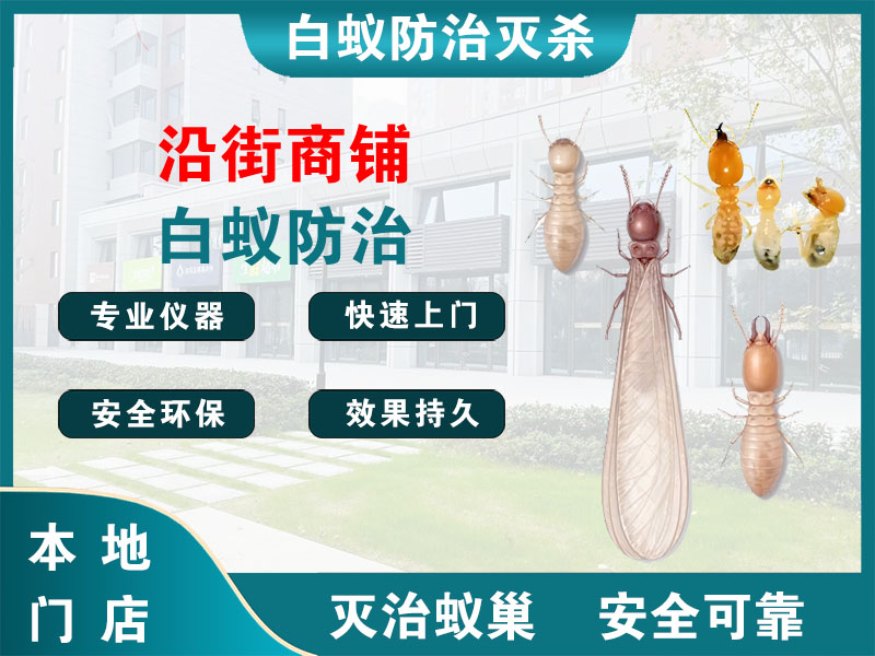 苏州市沿街商铺白蚁防治