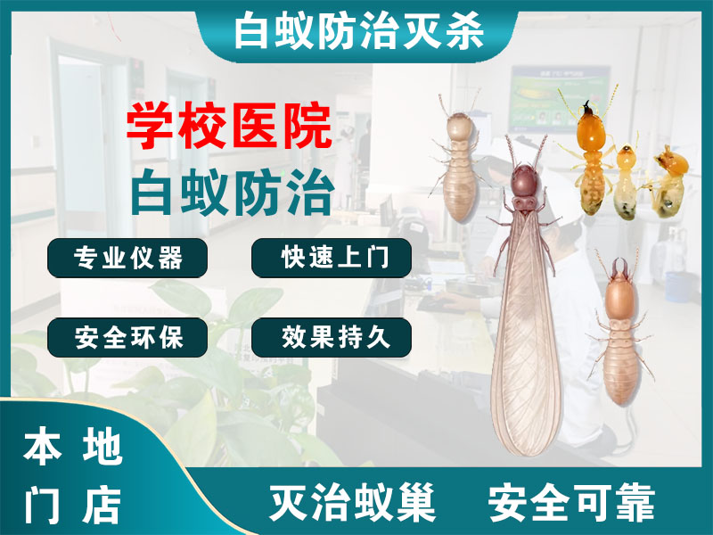 苏州市学校医院白蚁防治