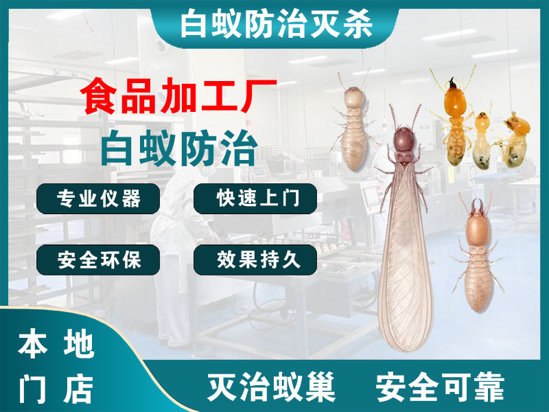 苏州市食品加工厂白蚁防治