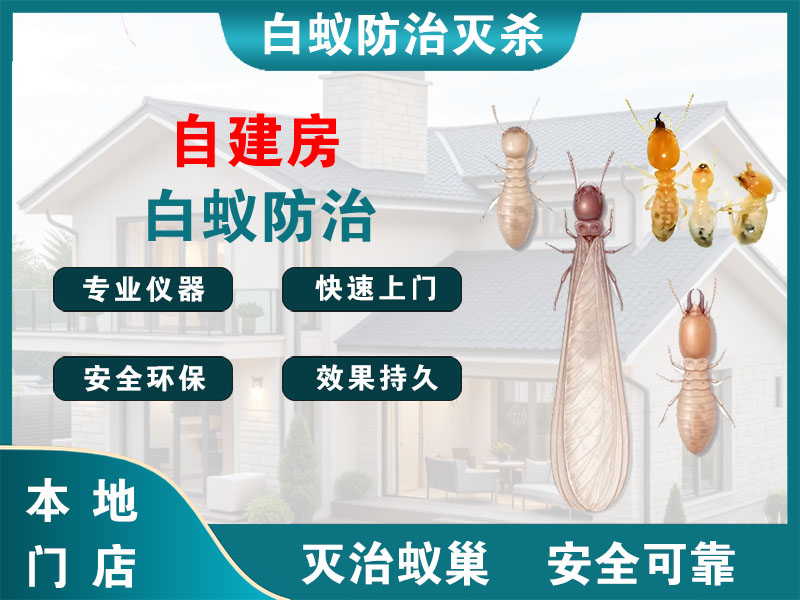 苏州市自建房白蚁防治