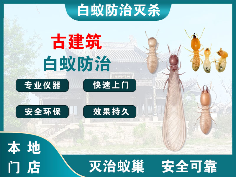 苏州市古建筑白蚁防治