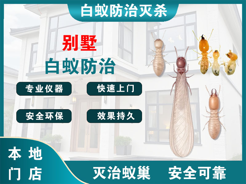 苏州市别墅白蚁防治