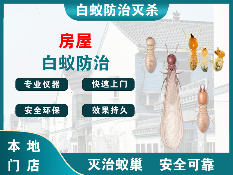 苏州市房屋白蚁防治